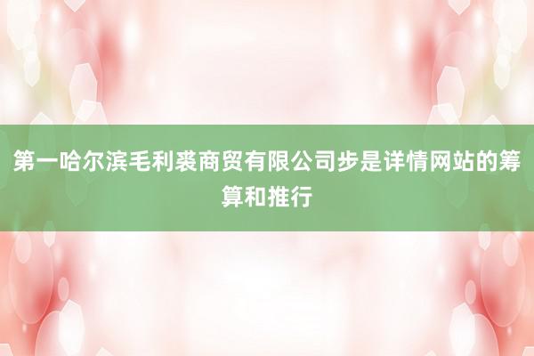 第一哈尔滨毛利裘商贸有限公司步是详情网站的筹算和推行